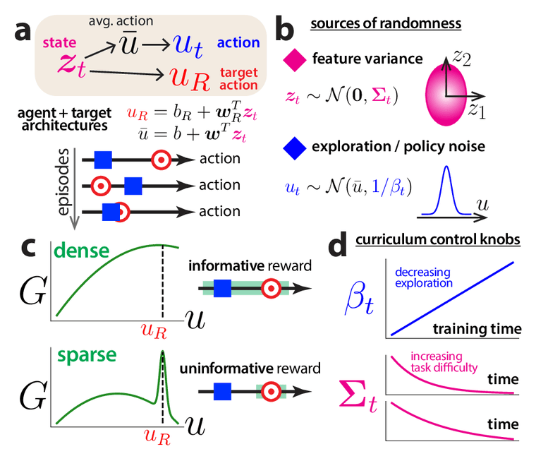 Schematic of the policy-learning model: sources of randomness, dense versus sparse rewards, and curriculum control knobs
