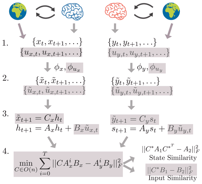InputDSA method: data from two brain-world systems are embedded, fit with input-driven state-space models, and compared on state and input similarity