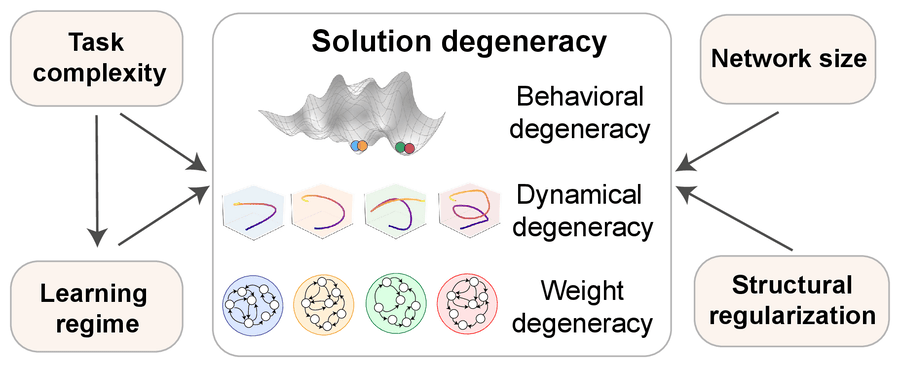 Schematic: task complexity, learning regime, network size, and structural regularization control behavioral, dynamical, and weight degeneracy