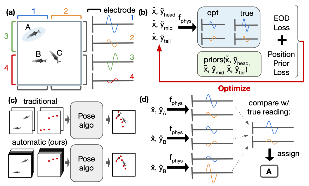 Physics-based source separation: fish positions are optimized so simulated electrode readings match recordings, then signals are assigned to individual fish