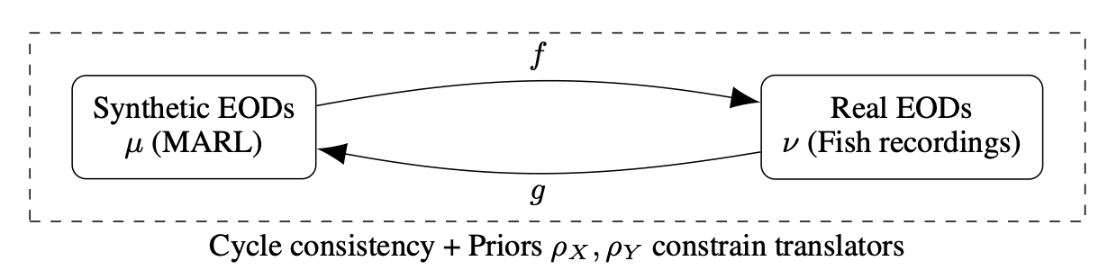 Translators f and g map between synthetic electric signals from multi-agent RL and real fish recordings, constrained by cycle consistency and priors